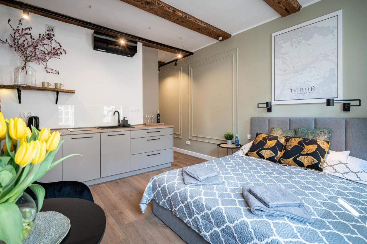 Apartamenty Stare Cegly Torun Bagian luar foto